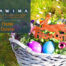 Beitrag_frohe_Ostern_SAWIMA_Stiftung
